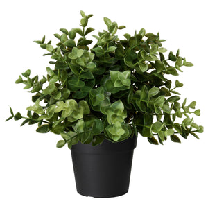 OREGANO FEJKA Artificial Potted Plant -Ikea